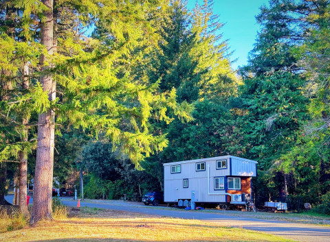 Tiny Tranquility @ The Redwoods