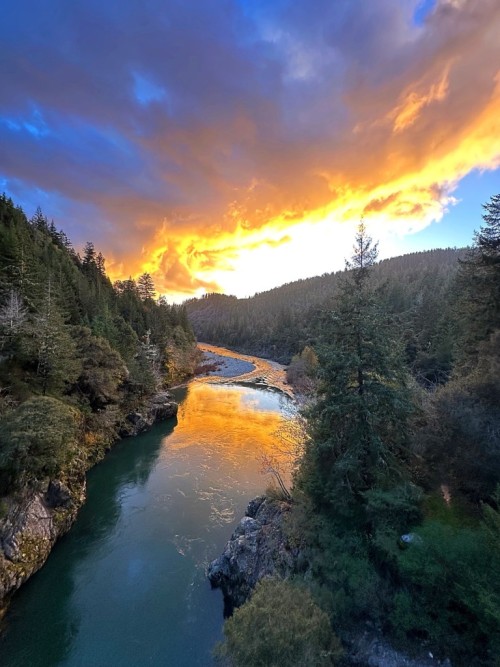 The Smith River offers a variety of recreational activities such as kayaking, white water rafting, fishing, swimming, SUP’s and more! Tiny Tranquility – Redwoods is located a scant 1/2 mile from the river, which is one of the purest in North America.