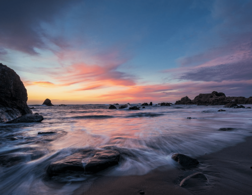 Tiny Tranquility @ The Redwoods