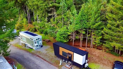 Tiny Tranquility @ The Redwoods